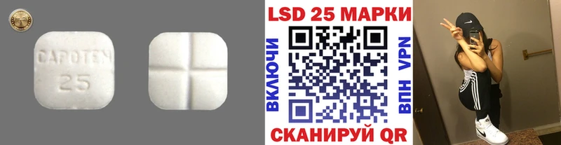 darknet какой сайт  Пестово  ЛСД экстази ecstasy 