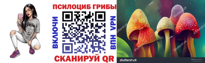 Псилоцибиновые грибы MAGIC MUSHROOMS  Пестово 